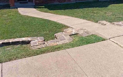 Photo of Andy R.'s yard after getting lawn care in Mesquite, TX
