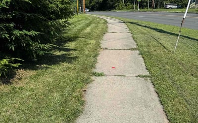 Photo of Tatiana R.'s yard after getting lawn care in West Springfield, MA
