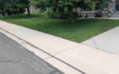 Photo of Amos H.'s yard after getting lawn care in Charleston, SC