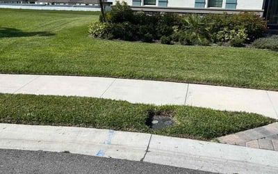 Photo of Lakeitsha K.'s yard after getting lawn care in Wayne, NJ