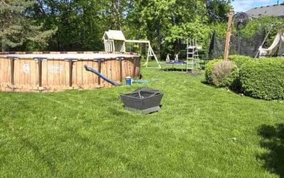 Photo of Annette H.'s yard after getting lawn care in Grayslake, IL