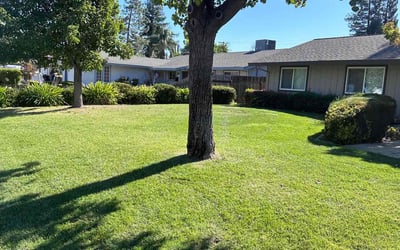 Photo of RoseMary P.'s yard after getting lawn care in Orangevale, CA
