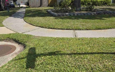 Photo of Sherelle A.'s yard after getting tree care in Montgomery, AL