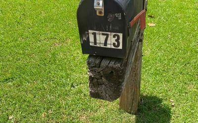 Photo of Kayla W.'s yard after getting lawn care in Lansing, MI