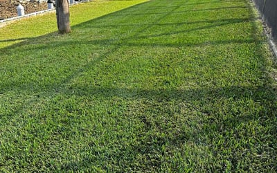 Photo of Doug C.'s yard after getting lawn care in Oakleaf Plantation, FL