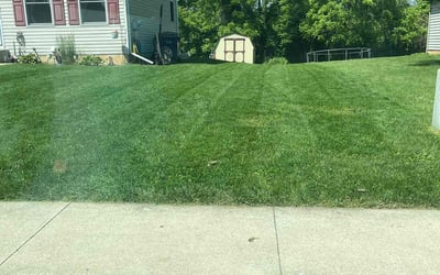 Photo of Amy S.'s yard after getting lawn care in Middletown, PA