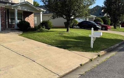 Photo of Angelique R.'s yard after getting lawn care in Suffolk, VA