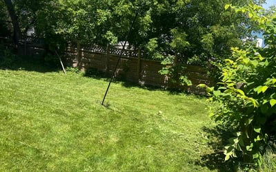 Photo of Mike L.'s yard after getting lawn care in Revere, MA