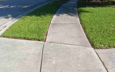 Photo of Adreena B.'s yard after getting lawn care in Gardena, CA