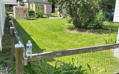 Photo of Morgan M.'s yard after getting lawn care in Kingston, PA