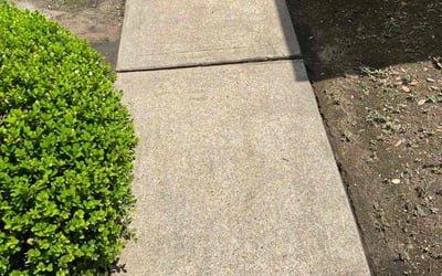 Photo of Sonya H.'s yard after getting lawn care in Brooklyn, MD