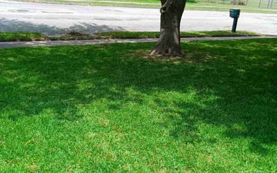 Photo of Stephanie T.'s yard after getting lawn care in Mesquite, TX