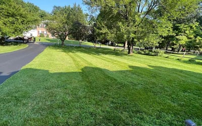 Photo of Julie F.'s yard after getting lawn care in Brunswick, MD