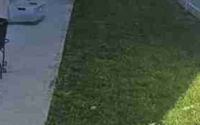 Photo of Jean C.'s yard after getting lawn care in Bayonne, NJ
