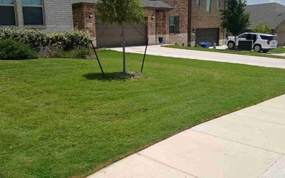 Photo of Kevin M.'s yard after getting lawn care in Kennebunk, ME