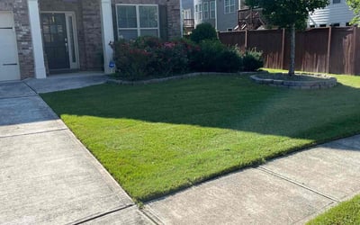 Photo of Alieyh C.'s yard after getting lawn care in Acworth, GA