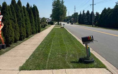 Photo of Roswitha C.'s yard after getting lawn care in Springdale, AR