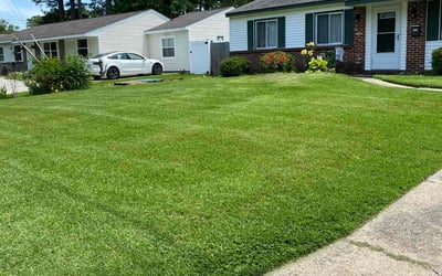 Photo of Lindsay T.'s yard after getting lawn care in Virginia Beach, VA