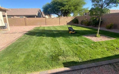 Photo of Eric T.'s yard after getting lawn care in Goodyear, AZ