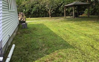 Photo of Bradley H.'s yard after getting lawn care in Longmeadow, MA