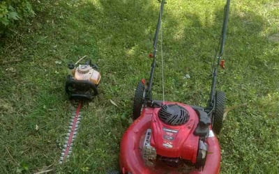 Photo of Flo S.'s yard after getting tree care in Hallandale, FL