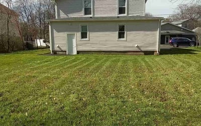 Photo of Anne C.'s yard after getting lawn care in Westfield, MA