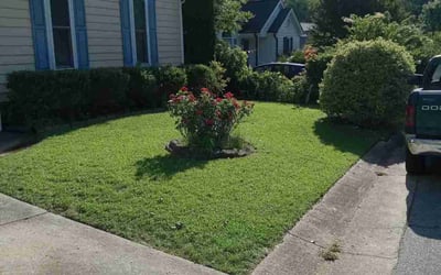 Photo of Joan C.'s yard after getting lawn care in Sayville, NY