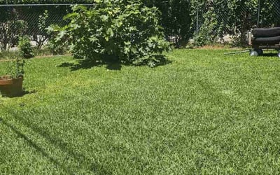 Photo of Kathy L.'s yard after getting lawn care in Oconomowoc, WI