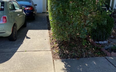 Photo of Jessica A.'s yard after getting tree care in Wichita, KS