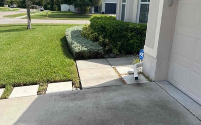 Photo of Maggie C.'s yard after getting lawn care in Manteca, CA