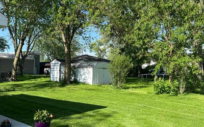 Photo of Tom L.'s yard after getting lawn care in Darien, IL