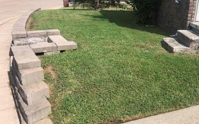 Photo of Rachael T.'s yard after getting lawn care in Solana Beach, CA
