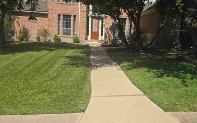 Photo of Betty W.'s yard after getting lawn care in San Antonio, TX