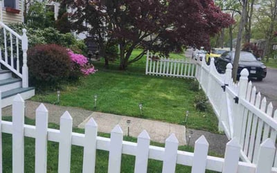 Photo of Alicia S.'s yard after getting lawn care in East Elmhurst, NY