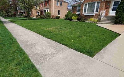 Photo of Jacquelyn B.'s yard after getting lawn care in Westchester, IL