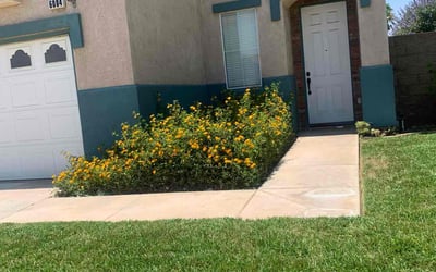 Photo of Vaughn M.'s yard after getting lawn care in Fontana, CA