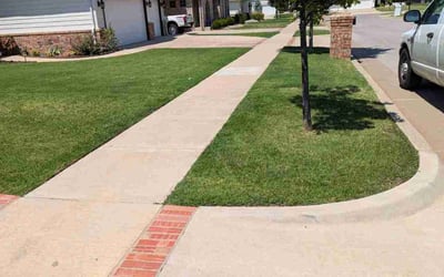 Photo of Pamela J.'s yard after getting lawn care in Jarrell, TX