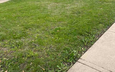 Photo of Deb M.'s yard after getting lawn care in Weymouth, MA