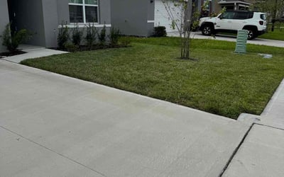 Photo of Victor J.'s yard after getting lawn care in Howell, NJ