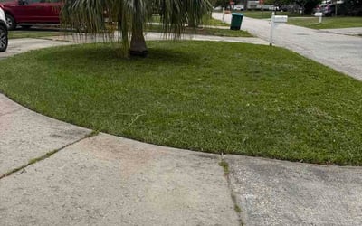 Photo of Brady A.'s yard after getting lawn care in Independence, KY