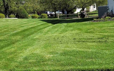 Photo of Dale L.'s yard after getting lawn care in Royersford, PA