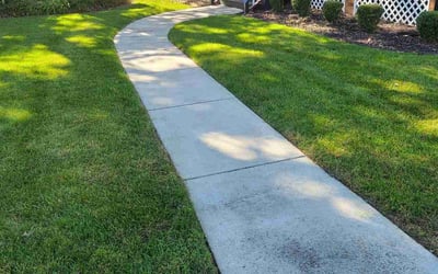 Photo of Leroy H.'s yard after getting lawn care in Richmond, VA