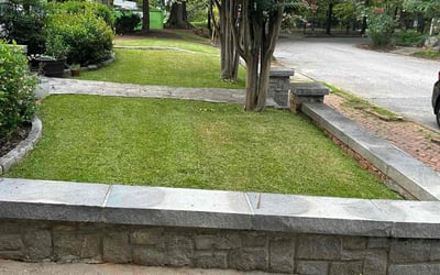 Photo of Richardo M.'s yard after getting lawn care in Atlanta, GA