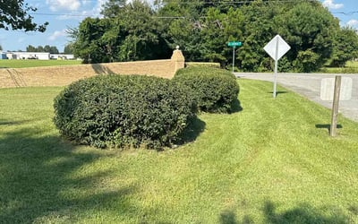 Photo of Christopher A.'s yard after getting lawn care in Taylorsville, NC
