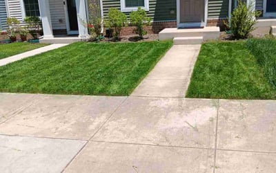 Photo of Jason B.'s yard after getting lawn care in Great Falls, VA