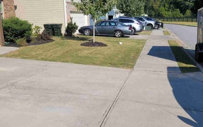 Photo of Kayce L.'s yard after getting lawn care in Dawsonville, GA