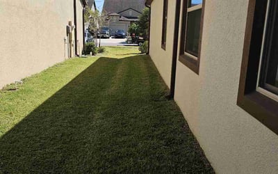 Photo of Lady S.'s yard after getting lawn care in Holiday, FL