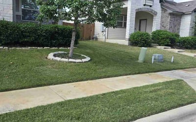Photo of Suman I.'s yard after getting lawn care in Leander, TX