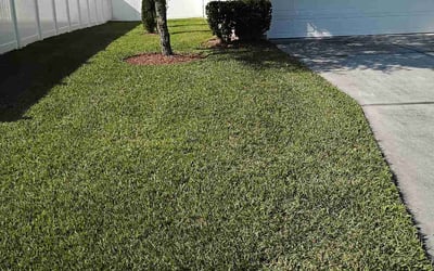 Photo of Donna H.'s yard after getting lawn care in Delray Beach, FL