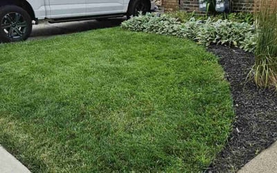 Photo of Mary F.'s yard after getting lawn care in Niles, MI